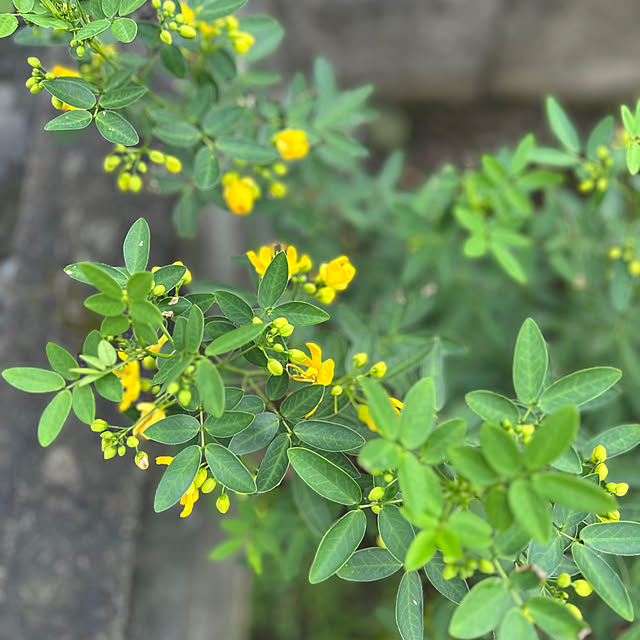 banbinaさんの部屋