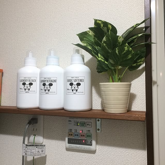 Adusaさんの実例写真