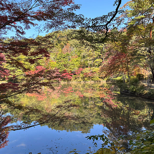 tututu0204さんの部屋