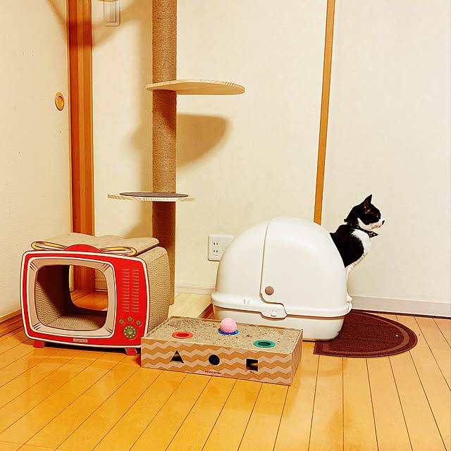 moolさんの実例写真
