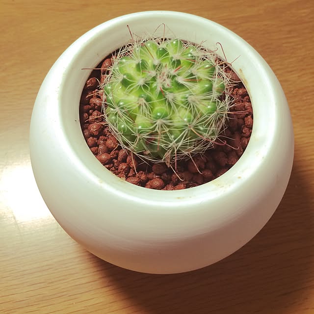 tukimiさんの実例写真