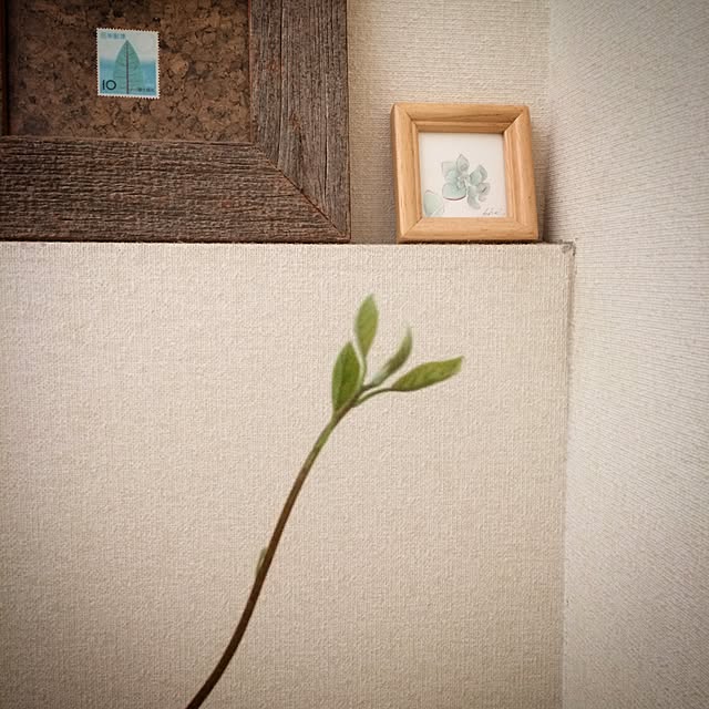 asaさんの実例写真