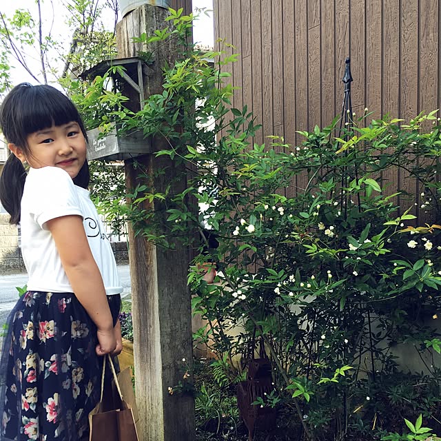 Maikoさんの実例写真