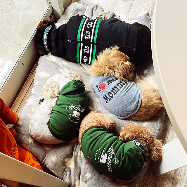COCOさんの実例写真