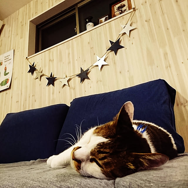 mo-mo0625さんの実例写真