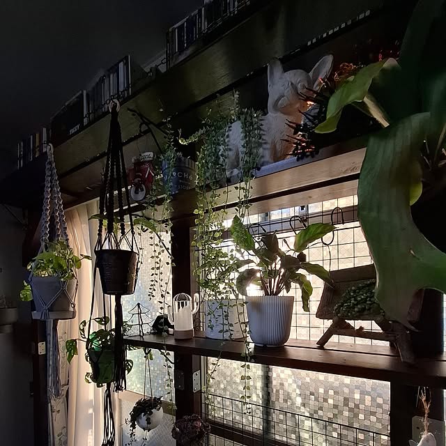 noaさんの部屋