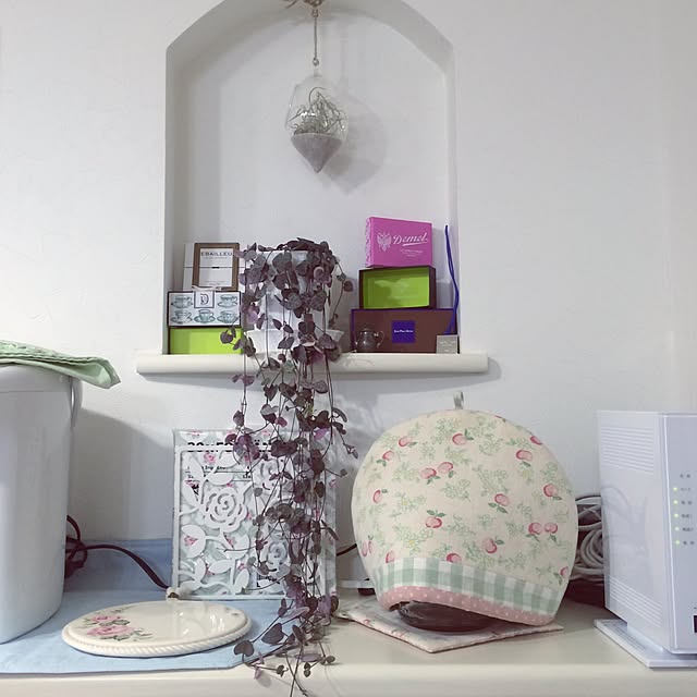 棚/植物のインテリア実例 - 2015-02-16 00:53:07