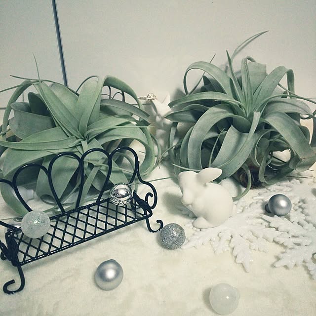...t_m_eee...さんの実例写真