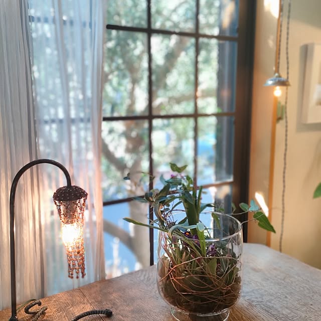 Yoko622さんの部屋