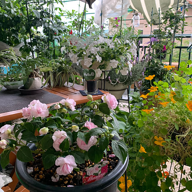 Aqettyさんの部屋