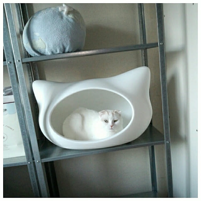 wasurenboさんの実例写真