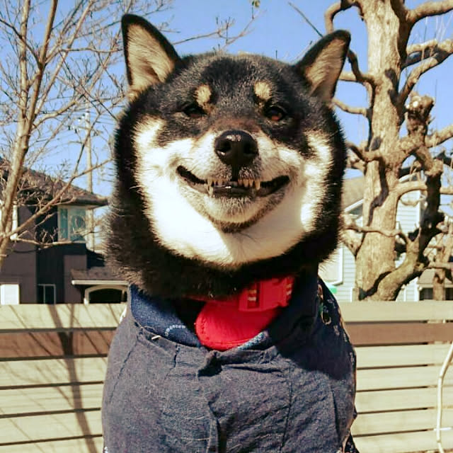 tsutawarimasuさんの実例写真