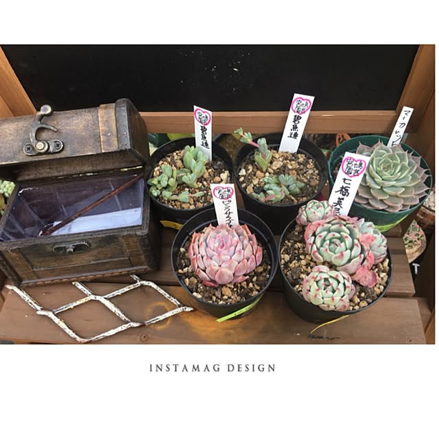 bon-bon-hippieさんの実例写真