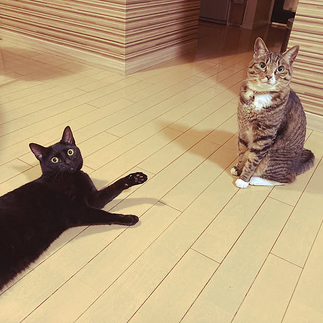 suemonta14さんの部屋