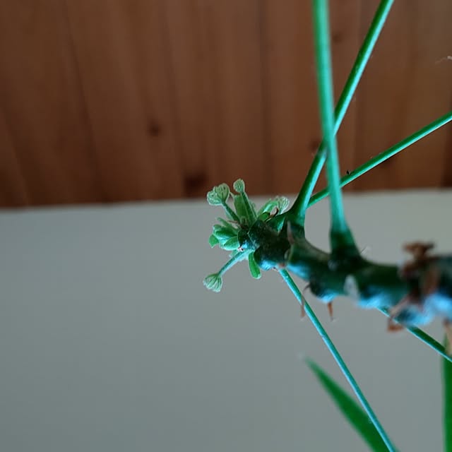 t.yumiさんの部屋
