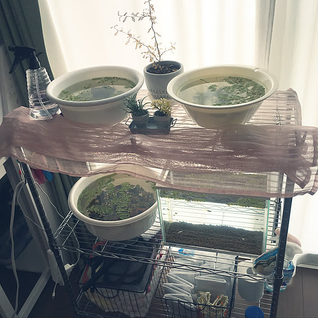 medakaさんの実例写真
