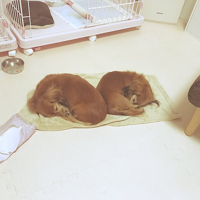 Arisaさんの実例写真