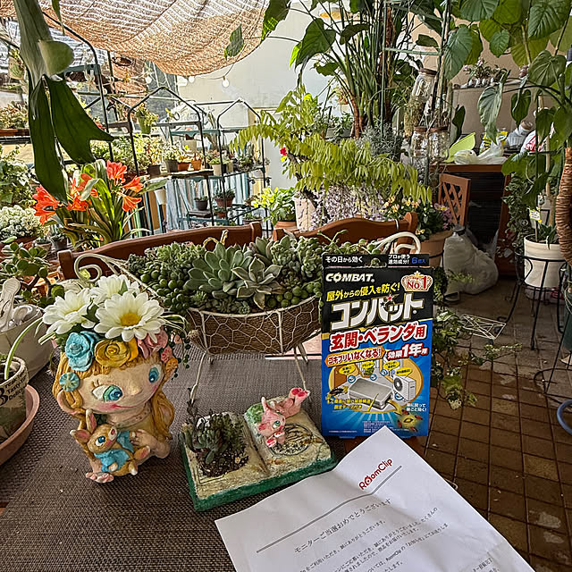 Aqettyさんの部屋