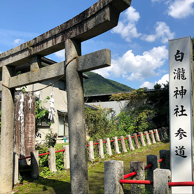 実例写真