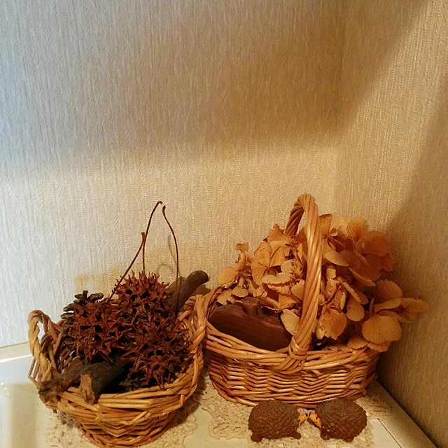 sanaさんの実例写真