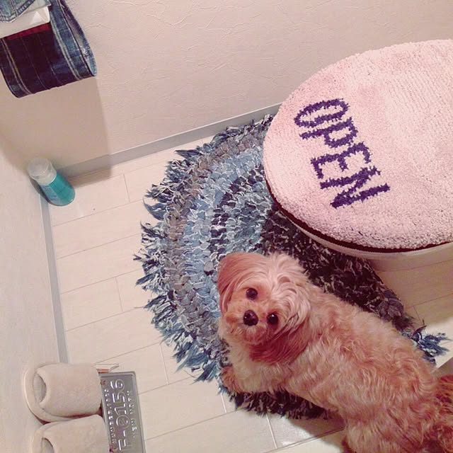 RSさんの実例写真