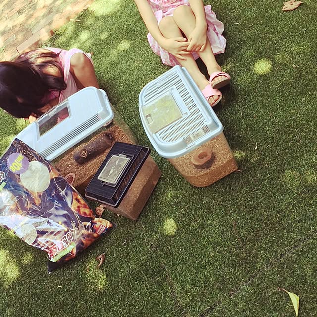 sさんの実例写真