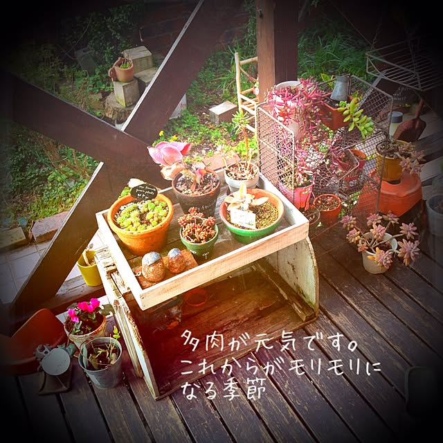 38coreさんの実例写真