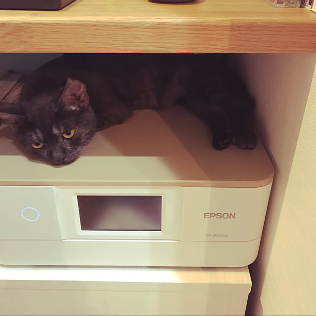 rumirabi75さんの実例写真