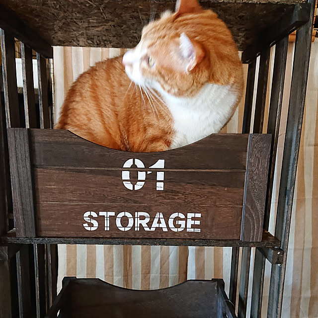 LaLaさんの実例写真