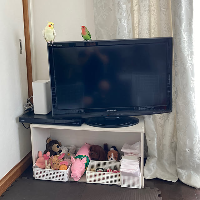 toratanさんの実例写真