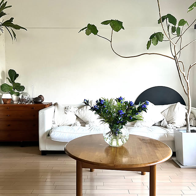 BigWinksさんの実例写真