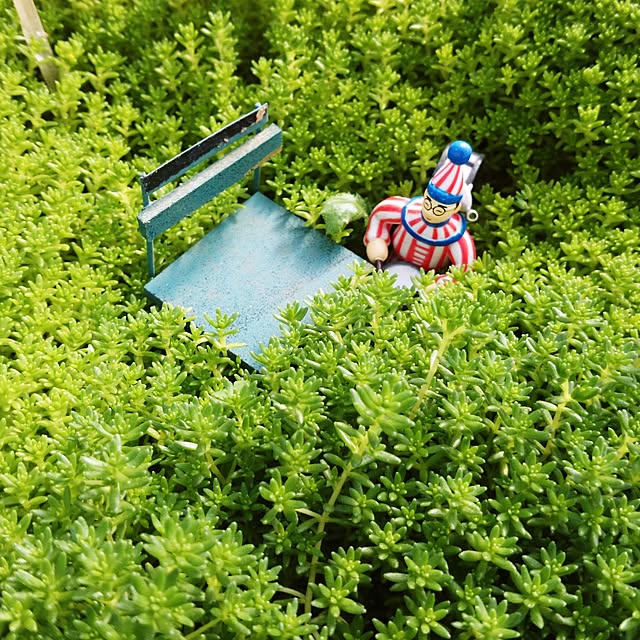 rookier05さんの実例写真