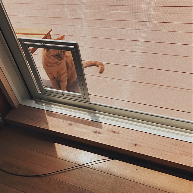 ttoさんの実例写真