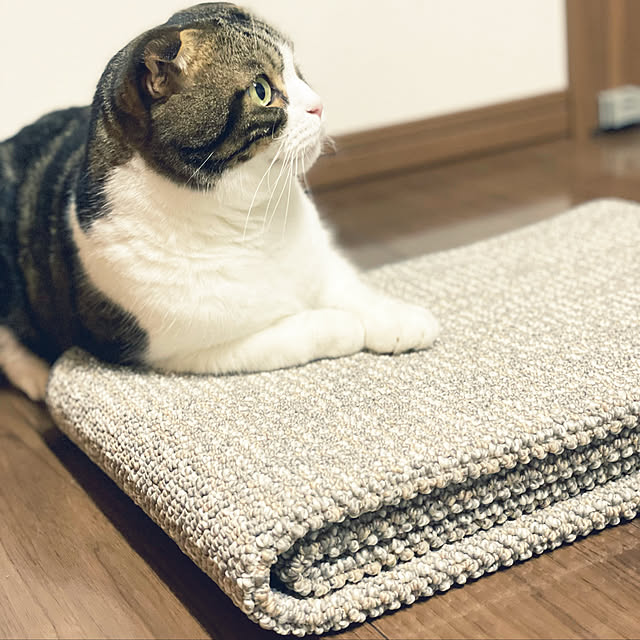 tansukeさんの実例写真