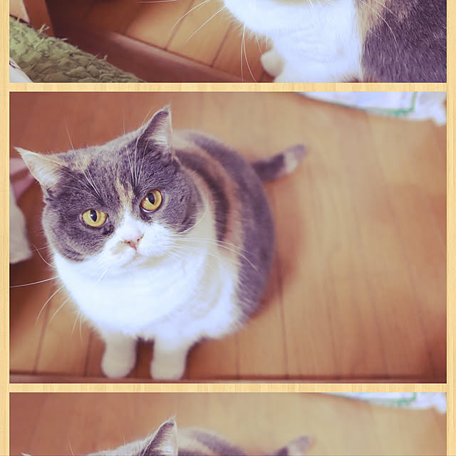 tsugumo8300さんの実例写真