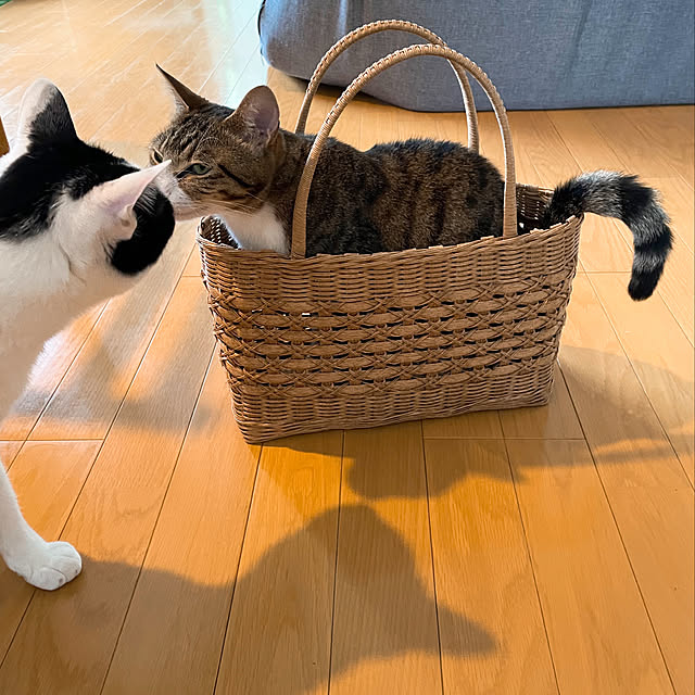 nobikoさんの実例写真