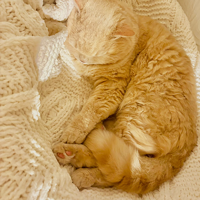 naokoさんの部屋