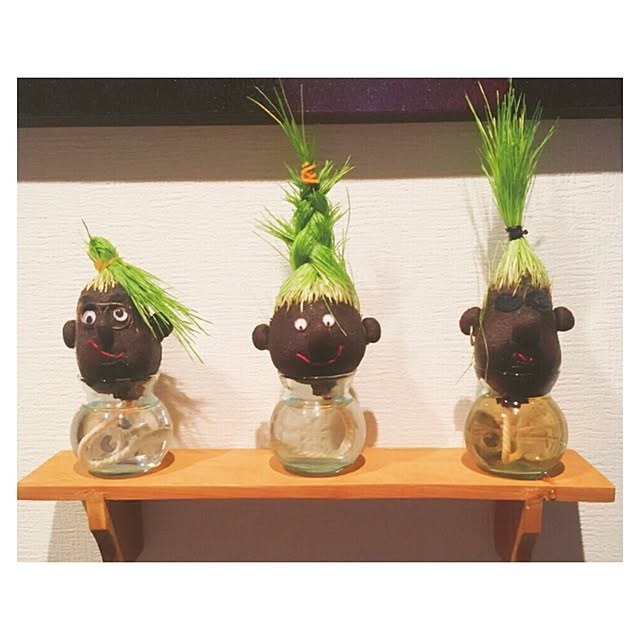 hikaruさんの実例写真