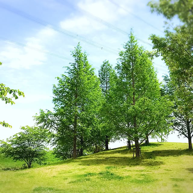 実例写真