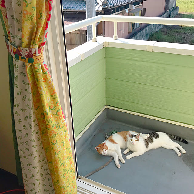 meさんの実例写真