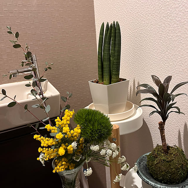 kojimasaさんの実例写真