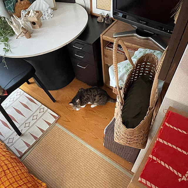nobikoさんの部屋