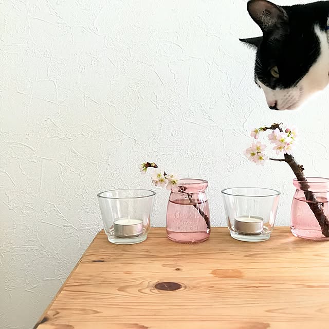 hiyo.pietさんの実例写真