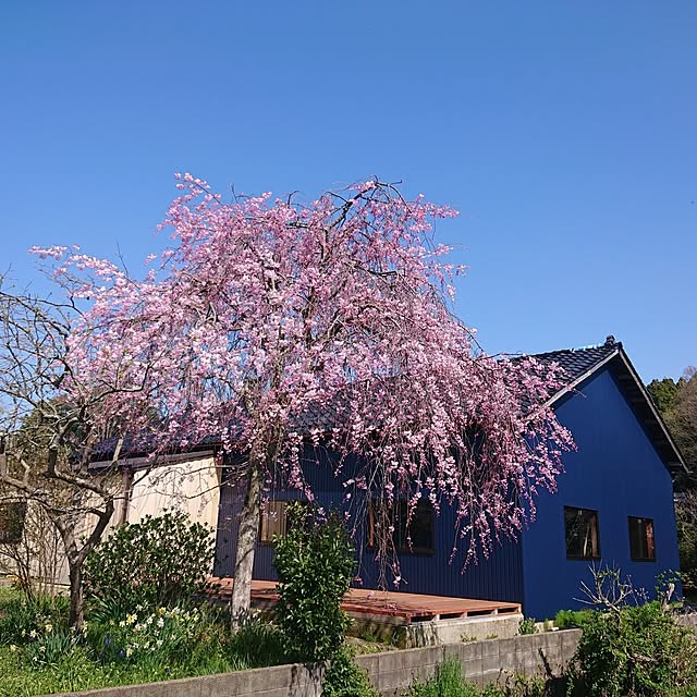 artfieldさんの部屋