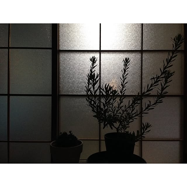 hittonさんの実例写真