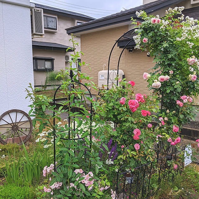 Midoriさんの実例写真