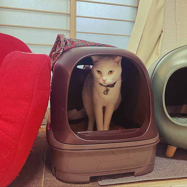 hanaさんの実例写真