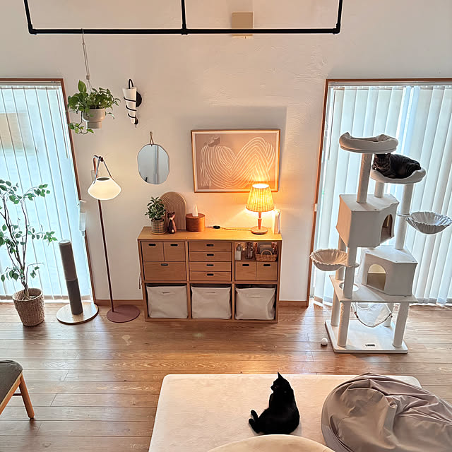 puu.tuuliさんの実例写真