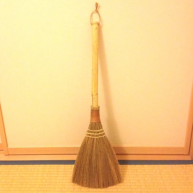 dicekbeetleさんの実例写真