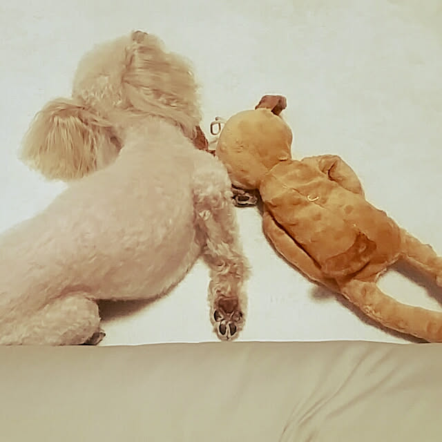 katuminaloveさんの実例写真
